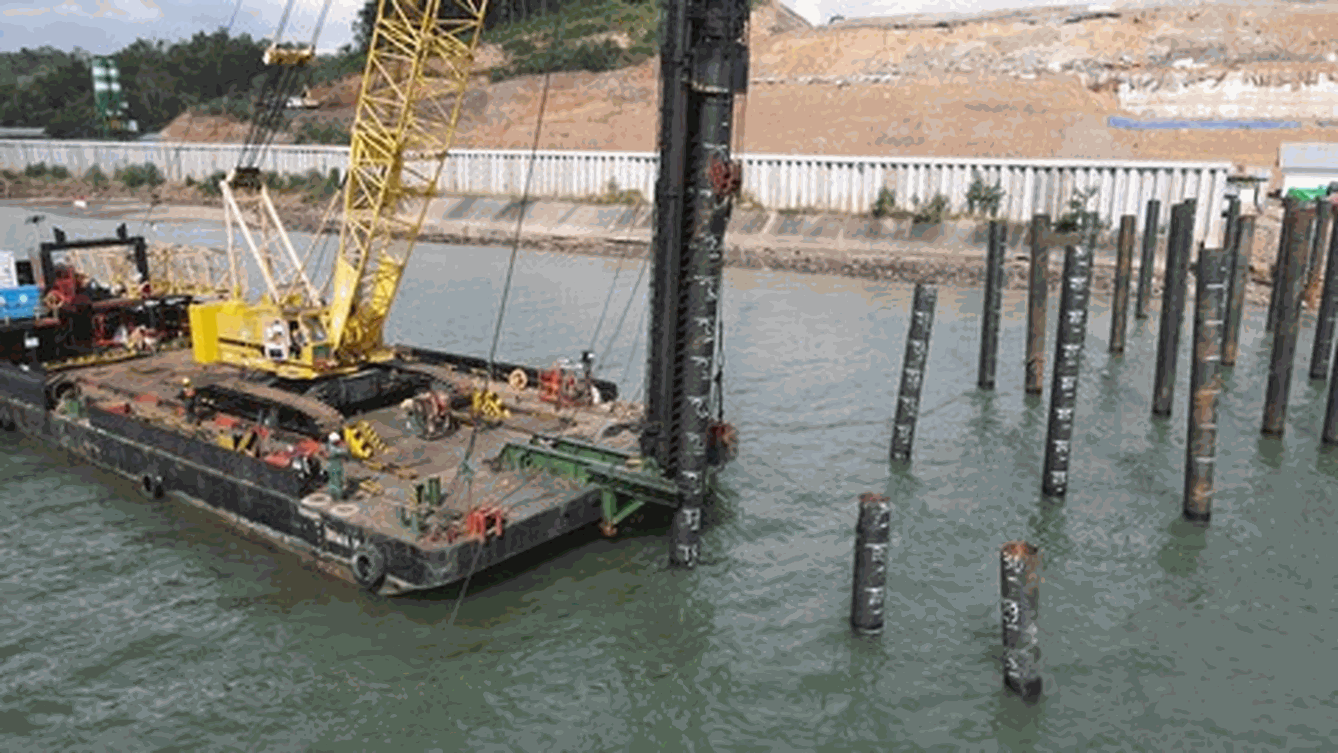 Odoo • Image and Text