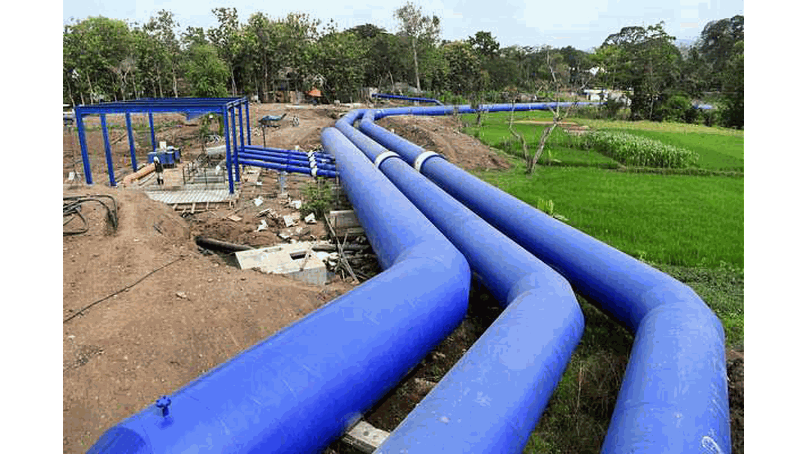 Odoo • Image and Text