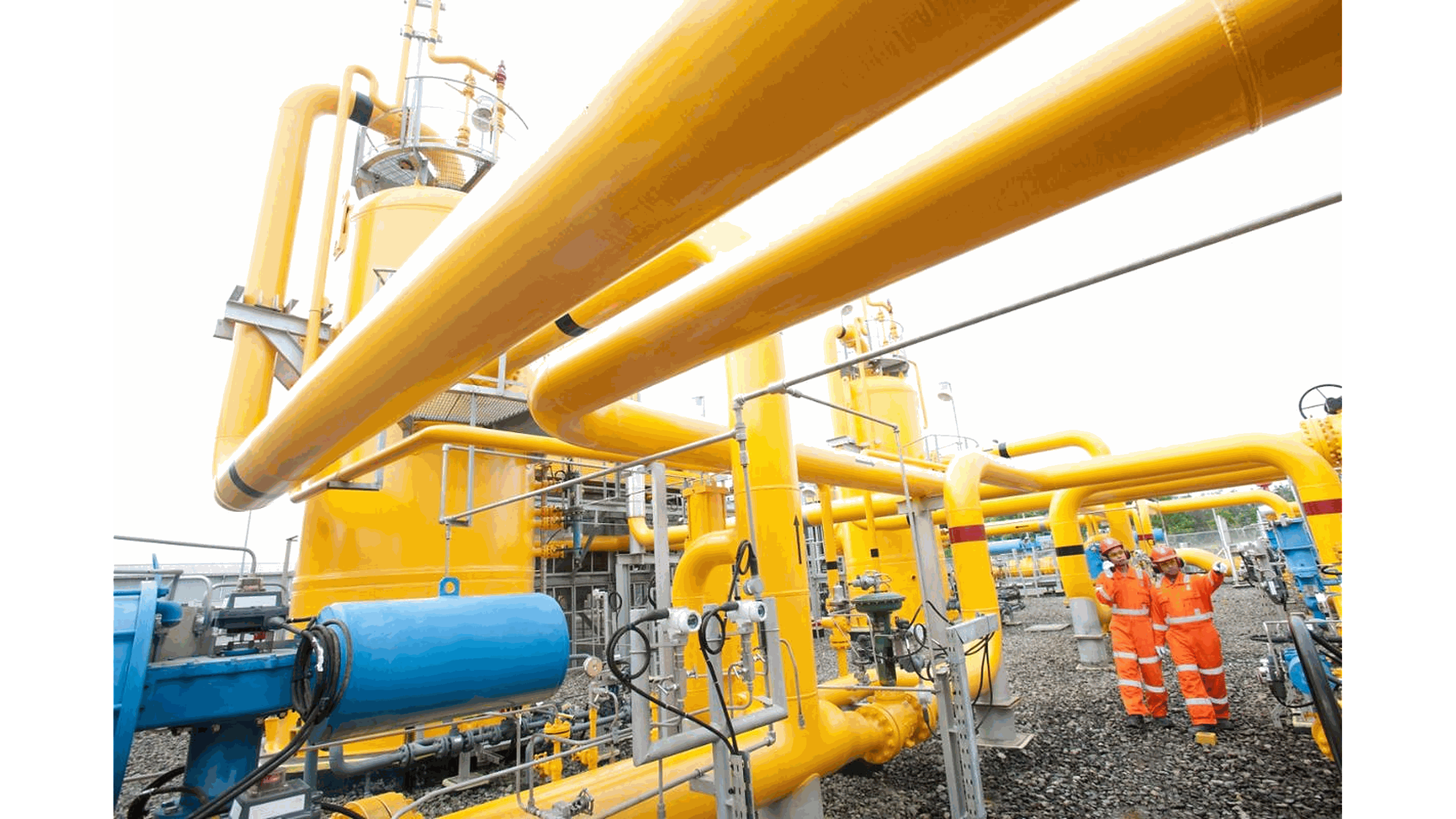 Odoo • Image and Text